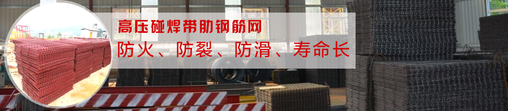 _̤W(wng)/䓽ш