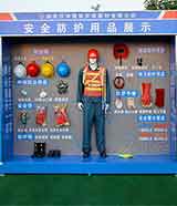 ¿o(h)ƷչʾӖ(xn) ʩȫw(yn)^
